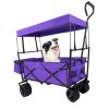 Outdoor Garden Park Utility kids wagon portable beach trolley cart camping foldable folding wagon