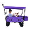 Outdoor Garden Park Utility kids wagon portable beach trolley cart camping foldable folding wagon